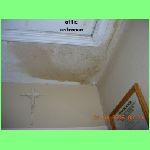 hall-attic050904-0929-s-1430.jpg