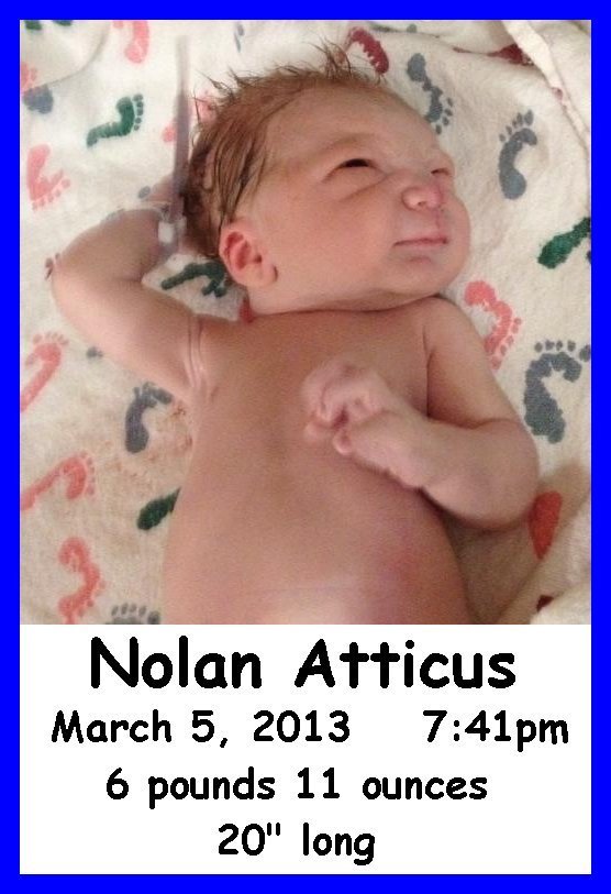Nolan Atticus - stats