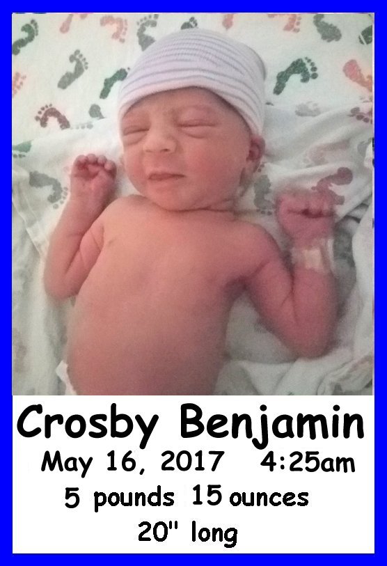 Crosby Benjamin - stats