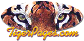 TigerPages.com