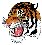 Tiger Screensaver